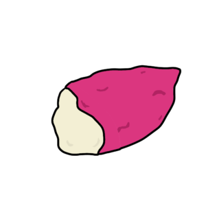 さつま芋の断面図のイラスト