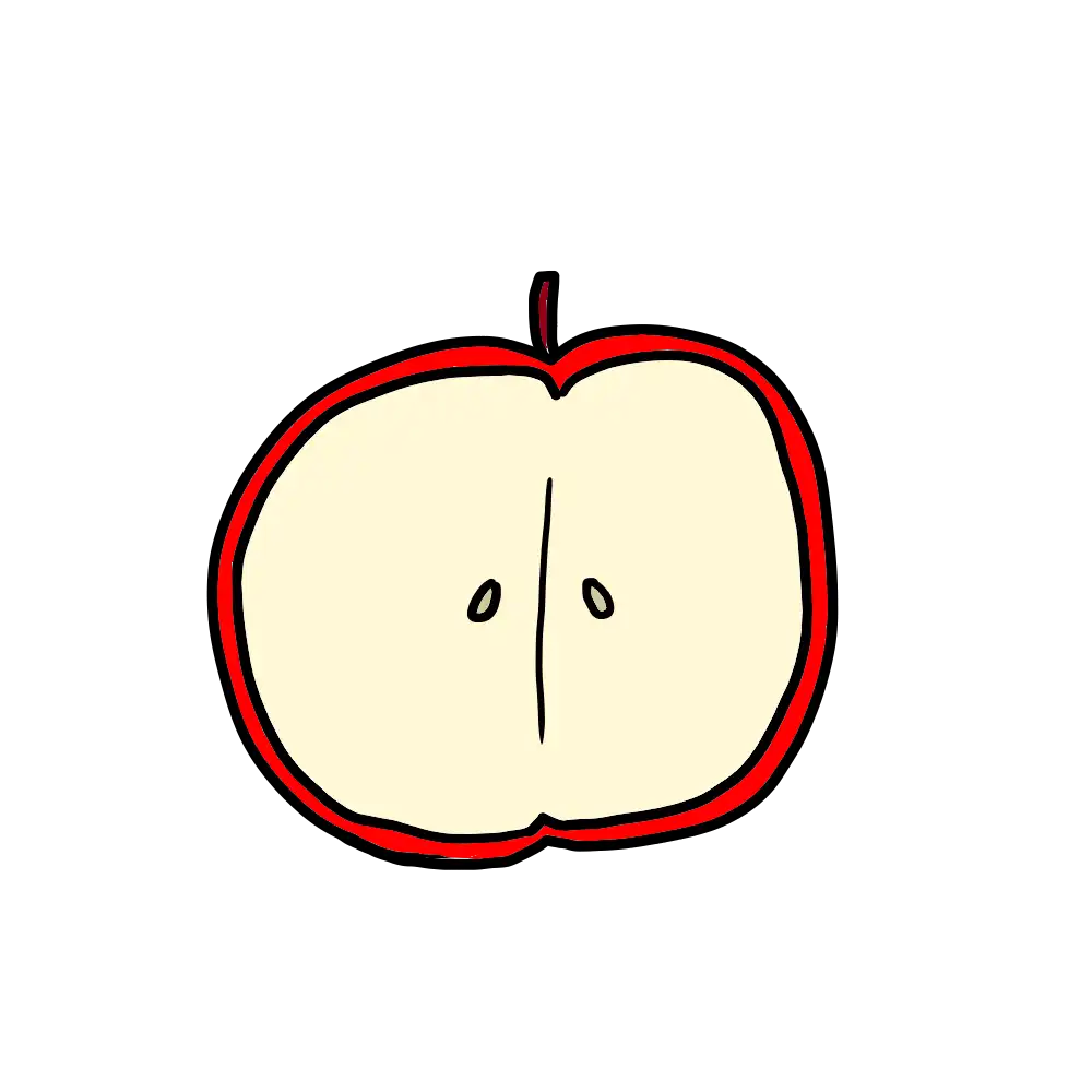 リンゴの断面図のイラスト