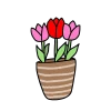 植木鉢に植えられたチューリップのイラスト｜サムネイル